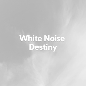 Обложка для The Background Noise Company - White Noise Maiden