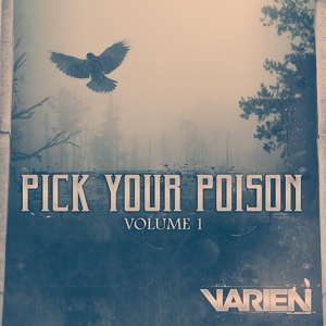 Обложка для Varien - The Sickness