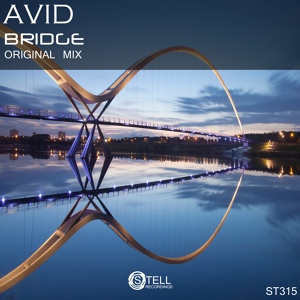 Обложка для Avid - Bridge