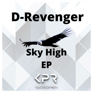 Обложка для D-REVENGER - Melodic