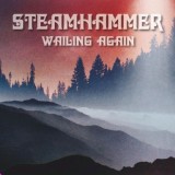 Обложка для Steamhammer - Wailing Once Again