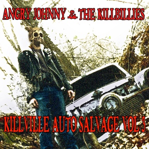 Обложка для Angry Johnny and The Killbillies - Toad