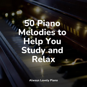 Обложка для Concentration Study, Relajante Música de Piano Oasis, Soulful Piano Group - Return of Peaceful Pleasure