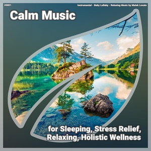 Обложка для Instrumental, Baby Lullaby, Relaxing Music by Malek Lovato - Calm Music, Pt. 21