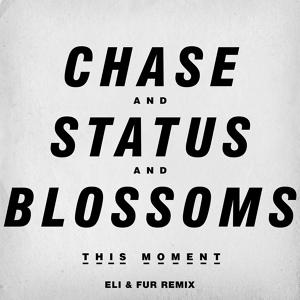 Обложка для Chase & Status And Blossoms - This Moment