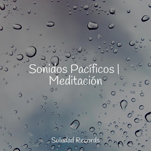 Обложка для Música para Massagem Especialistas, Sonidos De Lluvia y Tormentas, Piano Suave Relajante - Melodía De Meditación Matutina