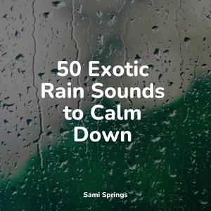 Обложка для Sonido Del Bosque y Naturaleza, Rain Sounds XLE Library, Massage - Splashing Drops