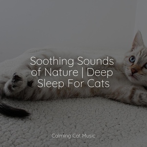 Обложка для Music For Cats TA, RelaxMyCat, Cat Music Experience - Sleep Music