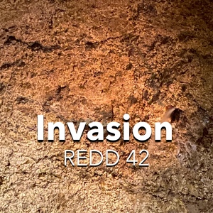 Обложка для REDD 42 - Invasion