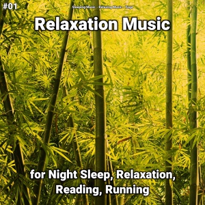 Обложка для Sleeping Music, Relaxing Music, Yoga - Relaxation Music Pt. 38