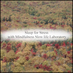Обложка для Mindfulness Slow Life Laboratory - Huygens & Peace of Mind