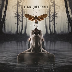 Обложка для A Dark Reborn - Before the Down