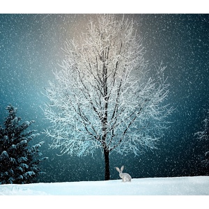 Обложка для Calming Music Academy, Focus Time Piano, White Noise Research - Hallelujah, It's Holiday Season!