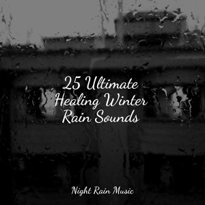 Обложка для Rain Sound Plus, White Noise Babies, Relajantes sonidos de lluvia - Calming Nature Bird Songs