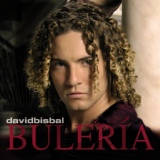 Обложка для David Bisbal - Amores Del Sur