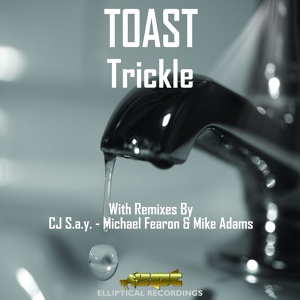 Обложка для Toast - Trickle (Mike Adams Remix)