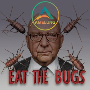 Обложка для Amelung - Eat the Bugs