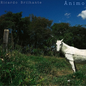 Обложка для Ricardo Brilhante - Mergulho em Alto Mar