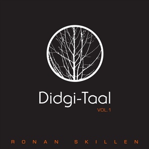 Обложка для Ronan Skillen feat. Didgi-Taal - You Know You Know (feat. Didgi-Taal)