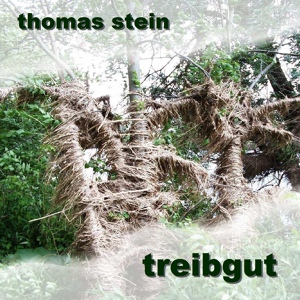 Обложка для Thomas Ralf Stein - Treibgut