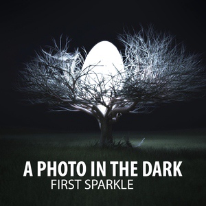 Обложка для A Photo in the Dark - Decelerate Your Life