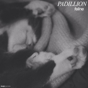 Обложка для Padillion - Pass Out