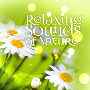 Обложка для Serenity Nature Sounds Academy - Nature of Everything