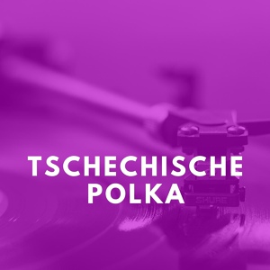 Обложка для Orchester Fips Fleischer - Warum hast Du mich denn gleich so verliebt gemacht?