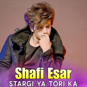 Обложка для Shafi Esar - Stargi Ya Tori Ka