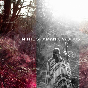 Обложка для Shamanic Drumming Consort - Peace in the World