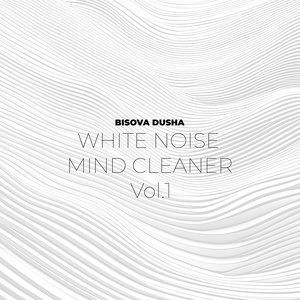 Обложка для BISOVA DUSHA - White Noise Clear Mind Emptiness