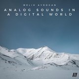 Обложка для Melih Aydogan - Analog Sounds in a Digital World