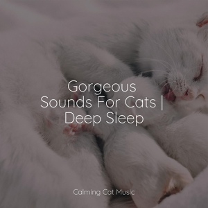 Обложка для Music For Cats TA, Cat Music, Jazz Music Therapy For Cats - O2