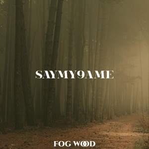 Обложка для saymy9ame - Cosmic wood