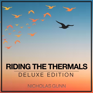 Обложка для Nicholas Gunn feat. Alina Renae - I'm Coming Home (Limelght Extended Mix)