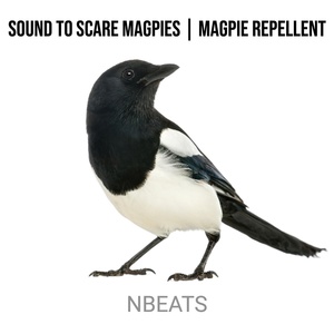 Обложка для nBeats - Sound to Scare Magpies | Magpie Repellent