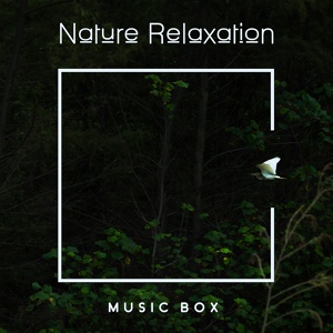 Обложка для Music to Relax in Free Time, Rain, Life Sounds Nature - Brain Stimulation