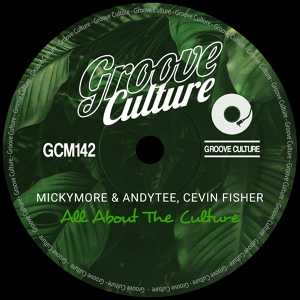 Обложка для Micky More & Andy Tee, Cevin Fisher - All About the Culture