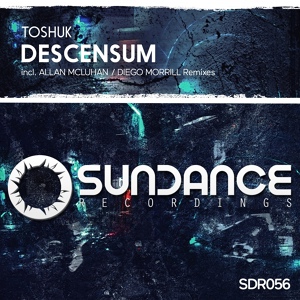 Обложка для ToShuk - Descensum
