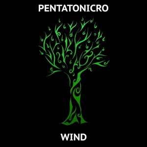 Обложка для Pentatonicro - Wind
