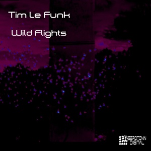 Обложка для Tim Le Funk - Wild Flights