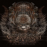 Обложка для Meshuggah - Demiurge