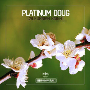 Обложка для Platinum Doug - So Damn Hot