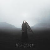 Обложка для NERATERRÆ feat. Flowers For Bodysnatchers - Echoing Scars