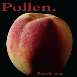 Обложка для Pollen - Almond-Coated