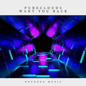 Обложка для Purecloud5 - Want You Back