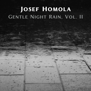 Обложка для Josef Homola - Gentle Night Rain, Pt. 92