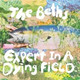 Обложка для The Beths - A Passing Rain