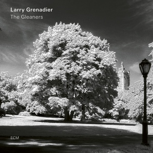 Обложка для Larry Grenadier - Compassion / The Owl of Cranston