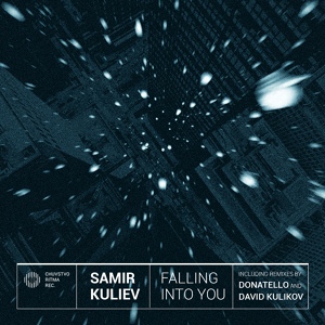 Обложка для Samir Kuliev - Falling Into You (David Kulikov Remix)